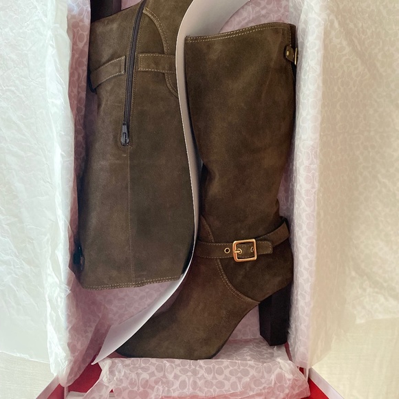 NIB Coach A7284 Suede Robynn Heeled Boots in Flint Goldtone Hardware Sz 9 $528 - Picture 5 of 10